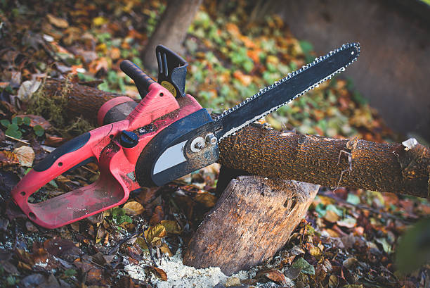 Best Weed Control  in Langhorne Manor, PA